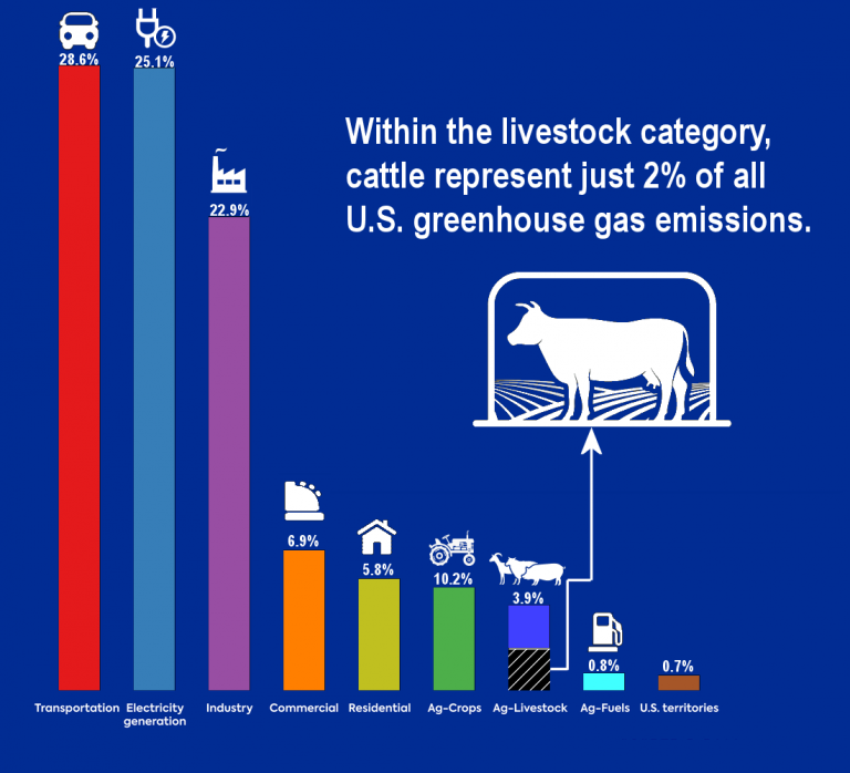 Livestock and Methane