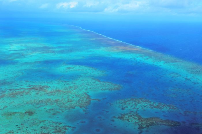 The Great Barrier Reef