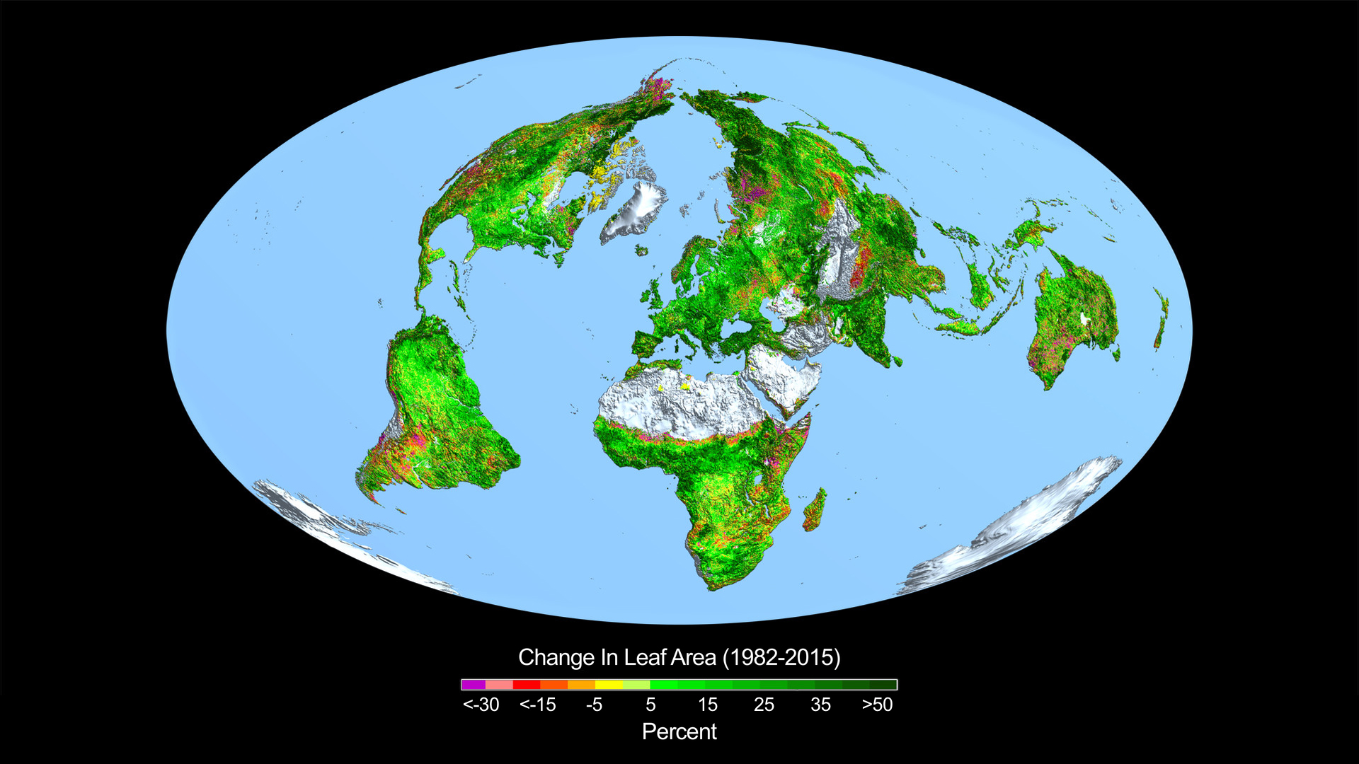 Figure 1. This image shows the change in leaf area across the globe from 1982-2015 detected by satellite. Credits: Boston University/R. Myneni. Image source: NASA